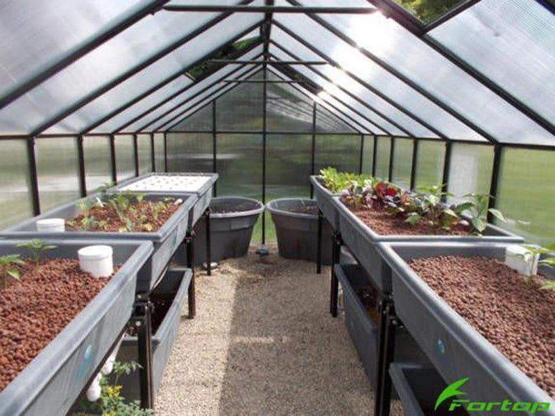 Riverstone MONT polycarbonate greenhouse 8x8 – photo 8 of 26