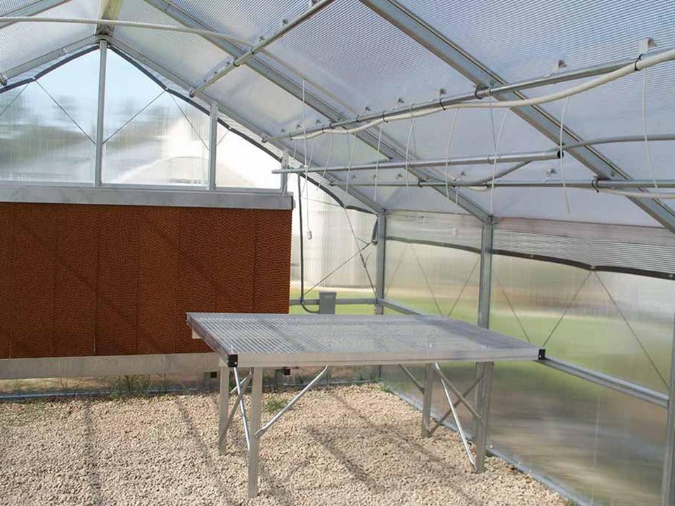 Riverstone 16ft x 30ft Wallace Educational Greenhouse Kit
