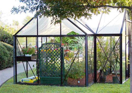 Junior Victorian Orangerie interior with green lattice trellis and potted plants
