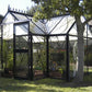Janssens Junior Victorian Orangerie beside a large shade tree