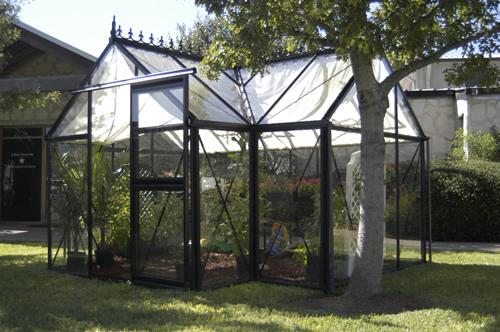Janssens Junior Victorian Orangerie beside a large shade tree