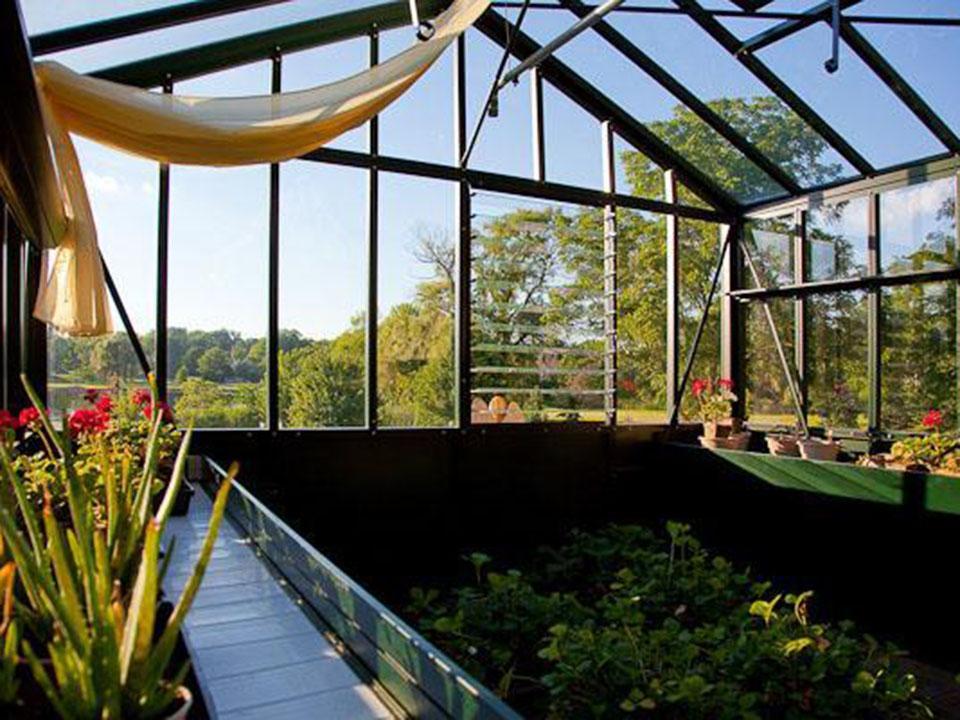 Retro Royal Victorian interior looking up at the glass roof and frame