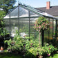 Royal Victorian VI34 greenhouse with polycarbonate panels, surrounded by flowering plants in a garden