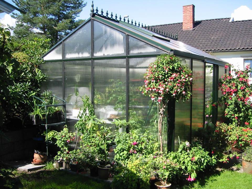 Royal Victorian VI34 greenhouse with polycarbonate panels, surrounded by flowering plants in a garden