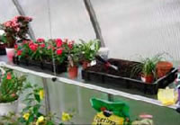 Riga Greenhouse Heavy Duty Seed Trays